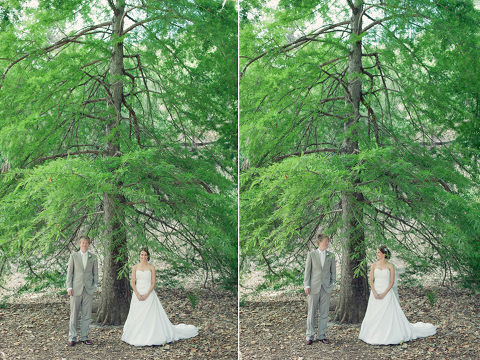 perth wedding