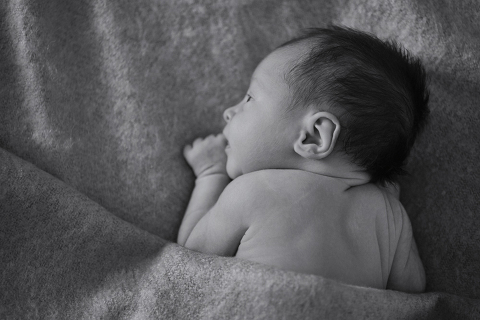 perth newborn photography