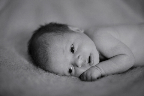 perth newborn photography